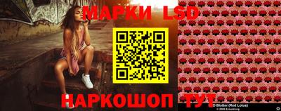 амф Гусев
