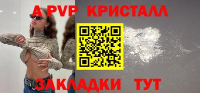амф Гусев