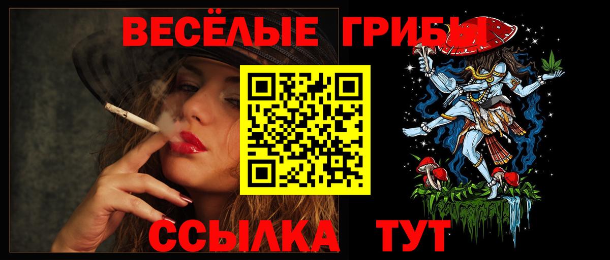 Псилоцибиновые грибы MAGIC MUSHROOMS  Псилоцибиновые грибы прущие грибы  Мценск  цена наркотик  Вход с VPN 
